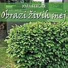 Predstavitev knjige: Obrazi živih mej