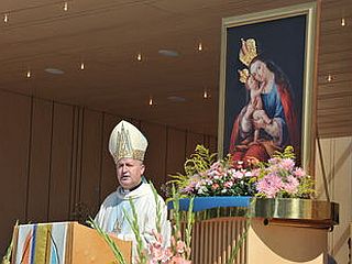 Slovenski škofje in kardinal na letošnji veliki šmaren